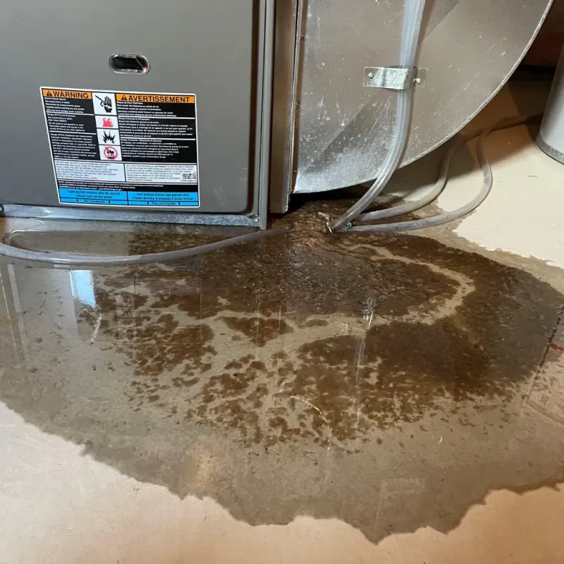 Appliance Leak Cleanup in Indian Trail, NC